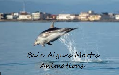 Evenements_baieAM_Priska